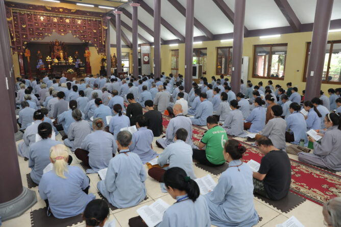 2 6