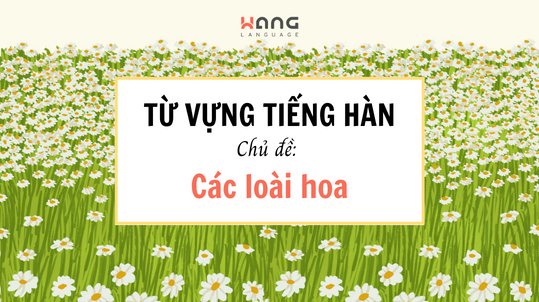 Từ vựng tiếng Hàn chủ đề: "Các loài hoa"