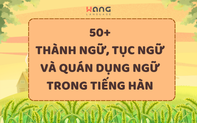 50 Thành ngữ, tục ngữ và quán dụng ngữ tiếng Hàn