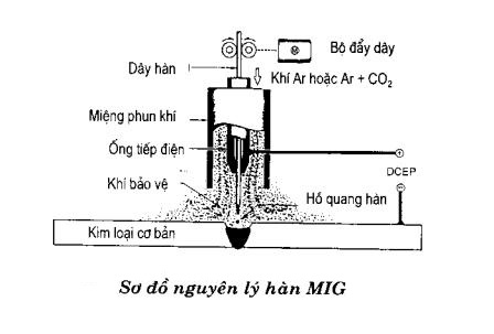 so do nguyen ly han mig