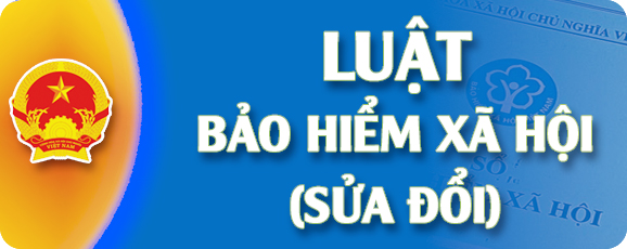 banner vip 11