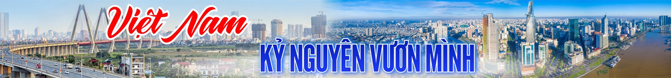 banner vip 3 3