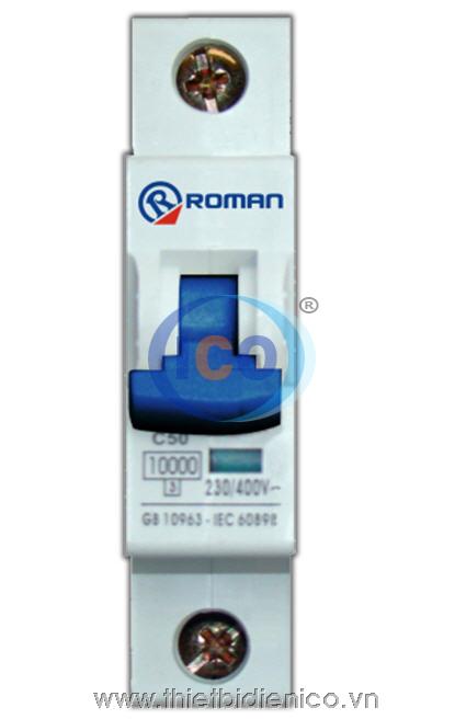 ICOMEP®