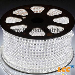 Đèn LED Dây 3528 Cuộn 50-100m ( 220v )
