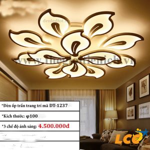 Bộ đèn ốp trần trang trí mã DT-1237