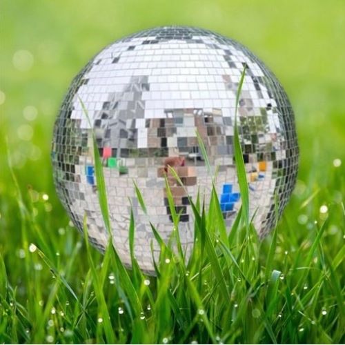 Quả cầu gương- quả trái trâu 120x120