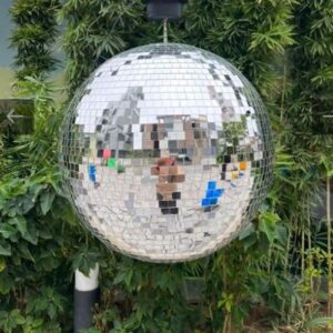 Quả cầu gương- quả trái trâu 140x140