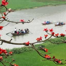 05 06622 Chua Huong