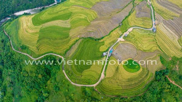PHONG CẢNH (Landscape)