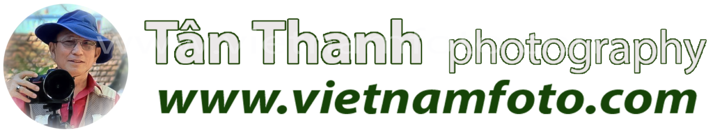 Tan Thanh photography