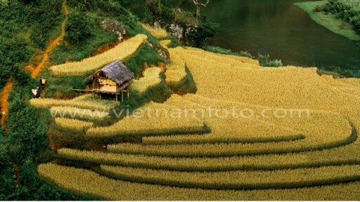 05 Binh yen MCC 1