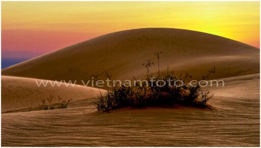 07 02003 Mui Ne2 1