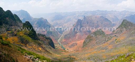 10A 9507 11 Yenngua 2