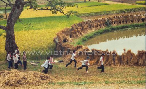 12 00 10630 Quoc Oai 1