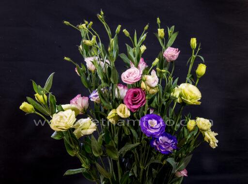 16D 0412 10.10