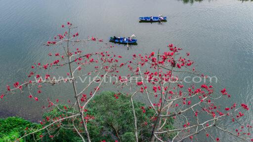 DJI 0242