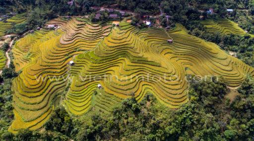 DJI 17 0047 2