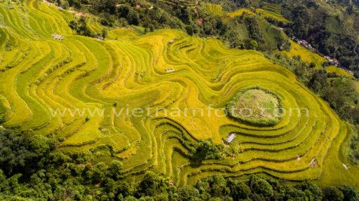 DJI 17 0085 2