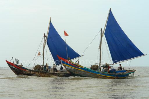 DSC02491