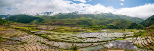 008 3559 Pano