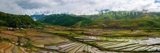 008 3569 Pano