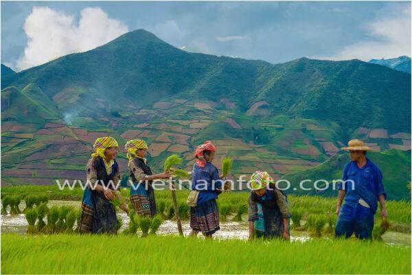 ẢNH SINH HOẠT (Activity fotos)