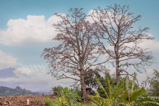 23A 5108 HDR 1