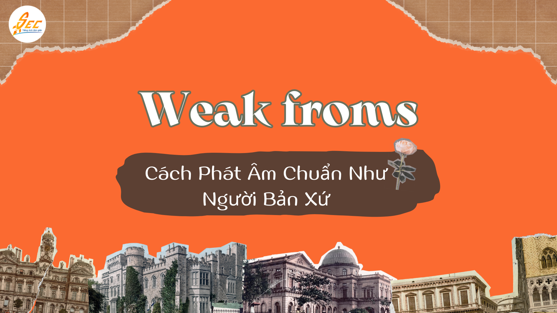 Weak Forms Trong Tiếng Anh Và Cách Phát Âm Chuẩn Như Người Bản Xứ 
