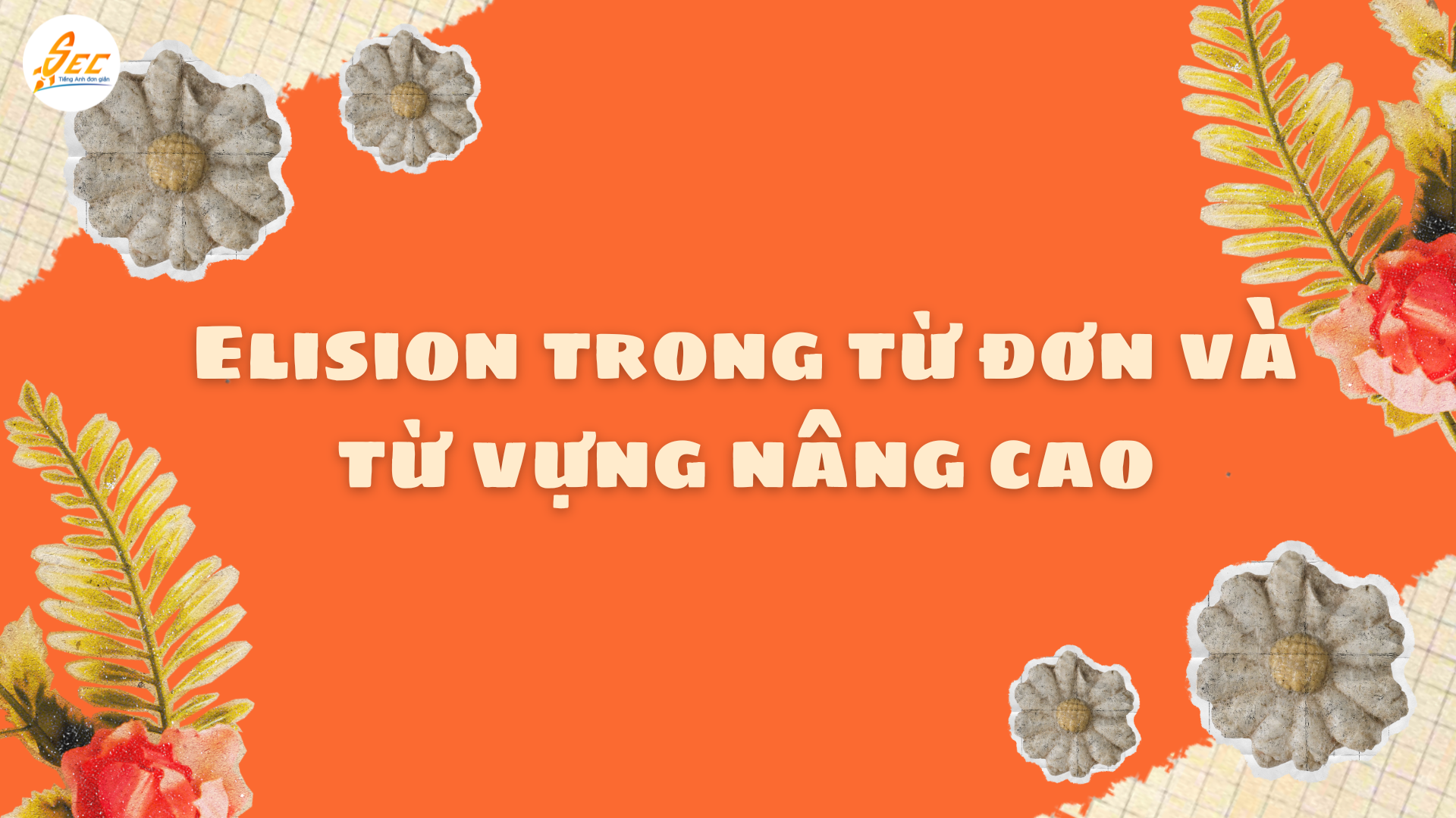 Elision với từ vựng nâng cao: Khám Phá Khái Niệm và Ứng Dụng Trong Giao Tiếp 2025 2 Elision với từ vựng nâng cao