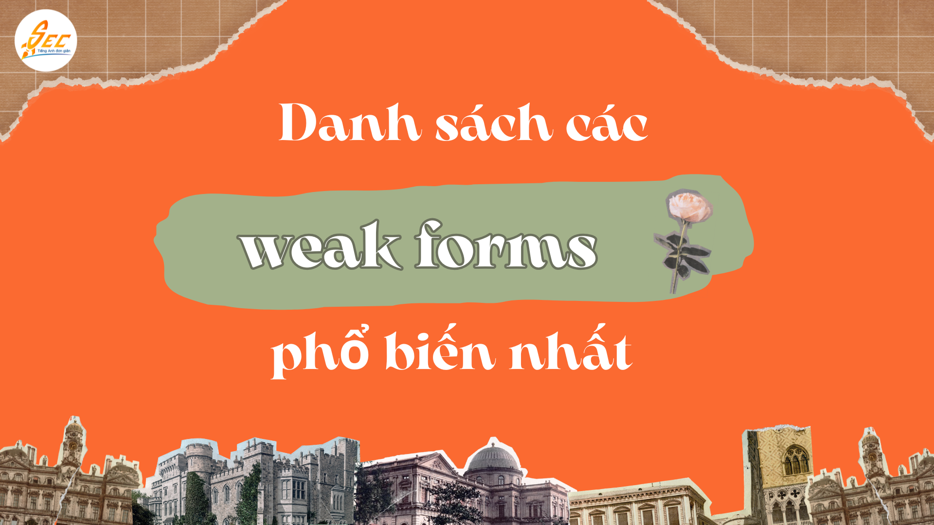Weak Forms Trong Tiếng Anh Và Cách Phát Âm Chuẩn Như Người Bản Xứ 