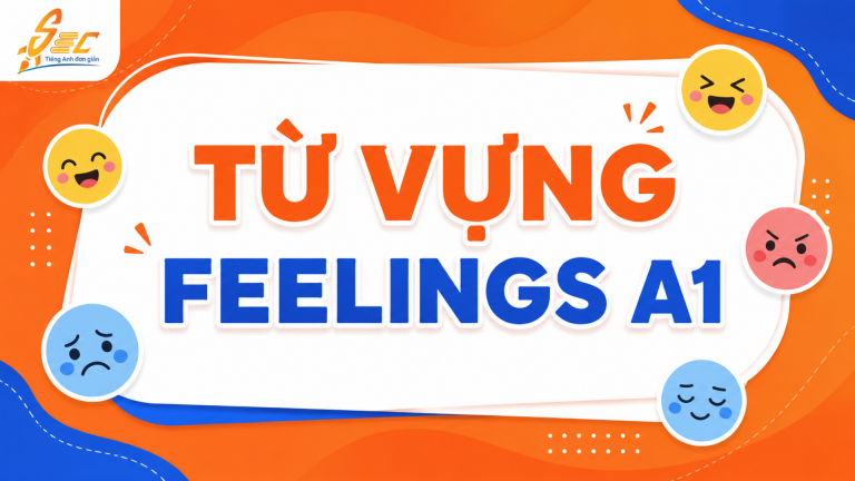Từ vựng Feelings A1: 30 từ cảm xúc tiếng Anh cơ bản giúp người mất gốc nói câu đơn giản