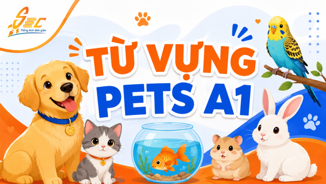 Từ vựng Pets A1: Học tiếng Anh về thú cưng dễ nhớ, dễ dùng