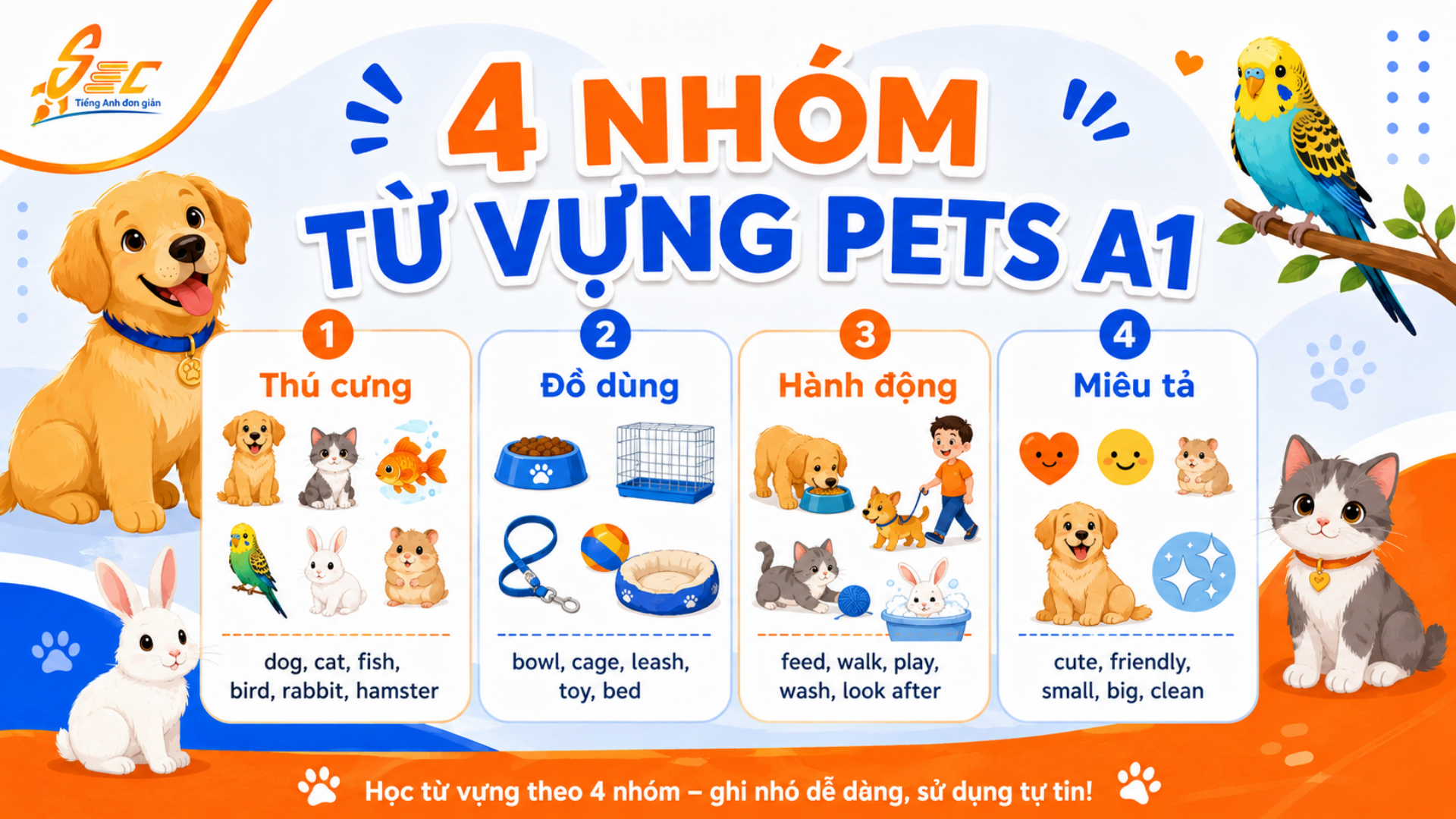 Từ vựng Pets A1: Học tiếng Anh về thú cưng dễ nhớ, dễ dùng 5 Các nhóm từ vựng quan trọng trong chủ đề Pets