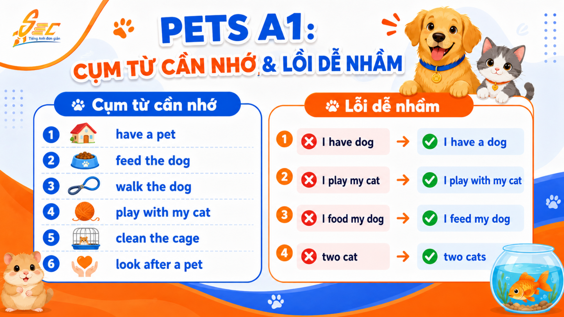 Từ vựng Pets A1: Học tiếng Anh về thú cưng dễ nhớ, dễ dùng 6 Collocations và cụm từ tự nhiên chủ đề Pets