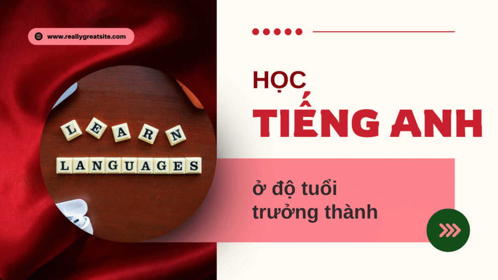 cách học tiếng Anh cho người trưởng thành