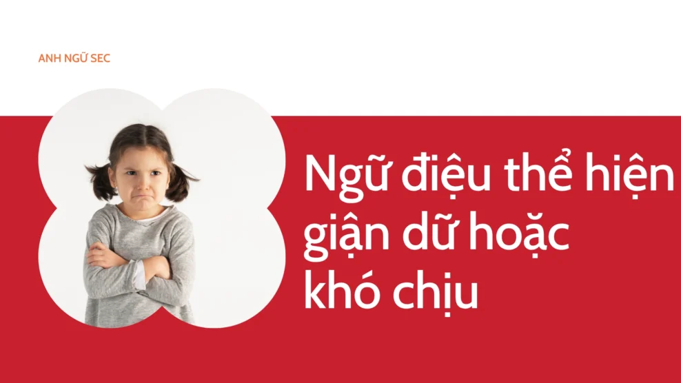 Ngữ điệu thể hiện giận dữ hoặc khó chịu 2025 Ngữ điệu thể hiện giận dữ hoặc khó chịu