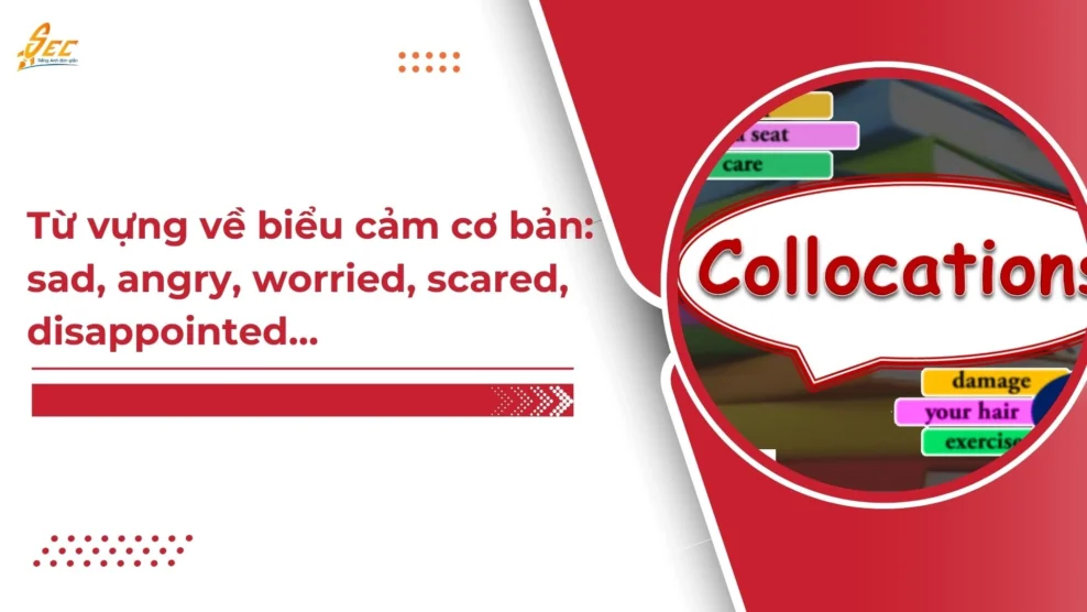 Từ vựng tiếng Anh về biểu cảm cơ bản: sad, angry, worried, scared, disappointed…2025 459