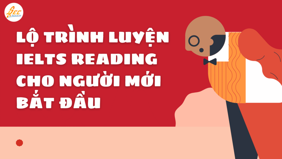 Lộ trình luyện IELTS Reading cho người mới bắt đầu