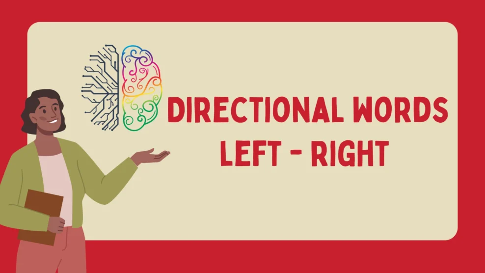 Directional words: left - right