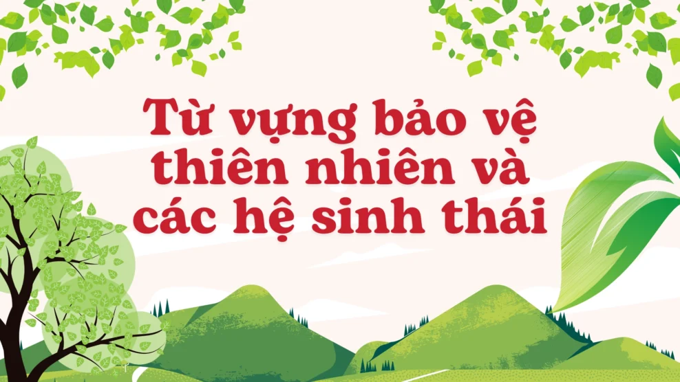 1 số từ vựng bảo vệ thiên nhiên và các hệ sinh thái từ vựng bảo vệ thiên nhiên và các hệ sinh thái