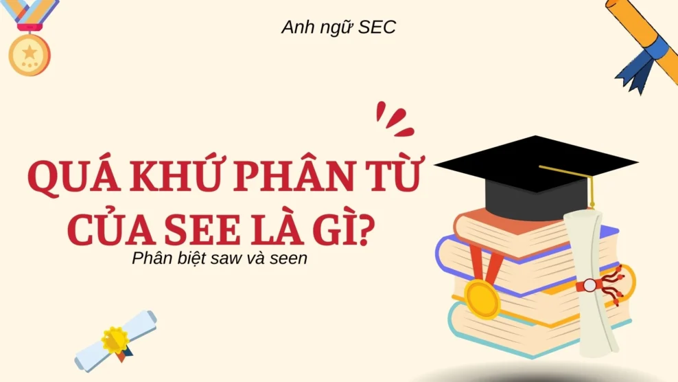 Quá Khứ Phân Từ Của See