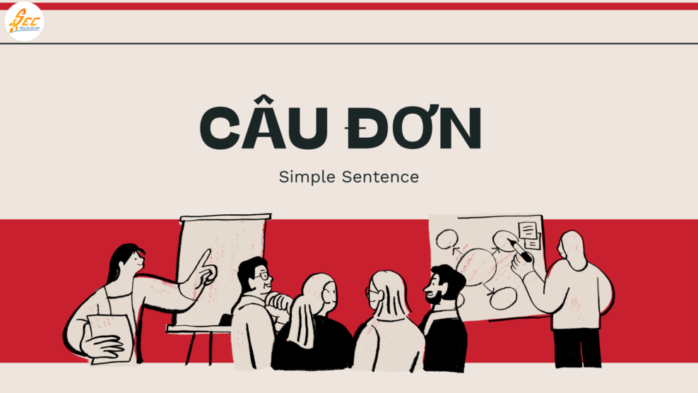 Câu Đơn Trong Tiếng Anh - Cấu Trúc, Ví Dụ và Cách Sử Dụng Mới Nhất 2026 Câu Đơn Trong Tiếng Anh