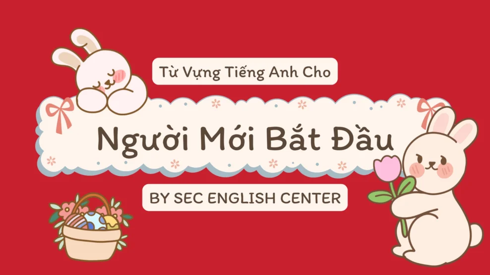 Từ Vựng Tiếng Anh Cho Người Mới Bắt Đầu: 100+ Từ Vựng Cơ Bản Dễ Học Cho Người Mất Gốc từ vựng tiếng anh cho người mới bắt đầu