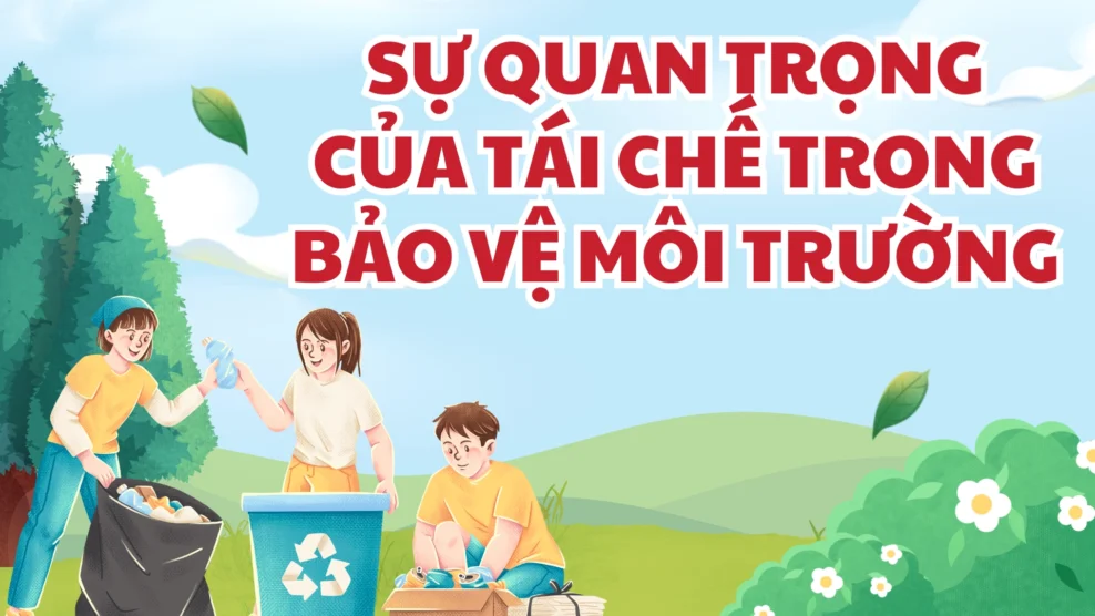 Sự quan trọng của tái chế trong bảo vệ môi trường