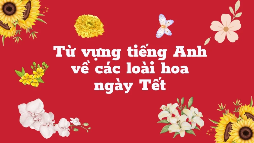 Từ vựng tiếng Anh về các loài hoa ngày Tết