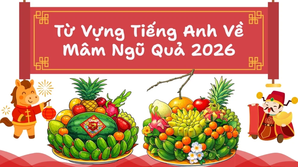 Từ Vựng Tiếng Anh Về Mâm Ngũ Quả 2026 Từ Vựng Tiếng Anh Về Mâm Ngũ Quả
