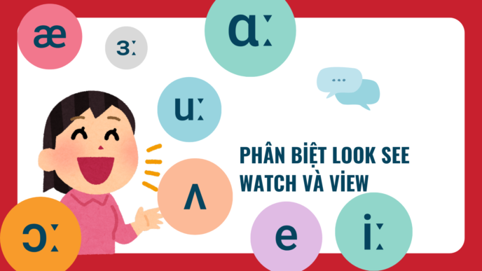Phân biệt Look See Watch và View: Hướng dẫn cách dùng Look See Watch chuẩn nhất