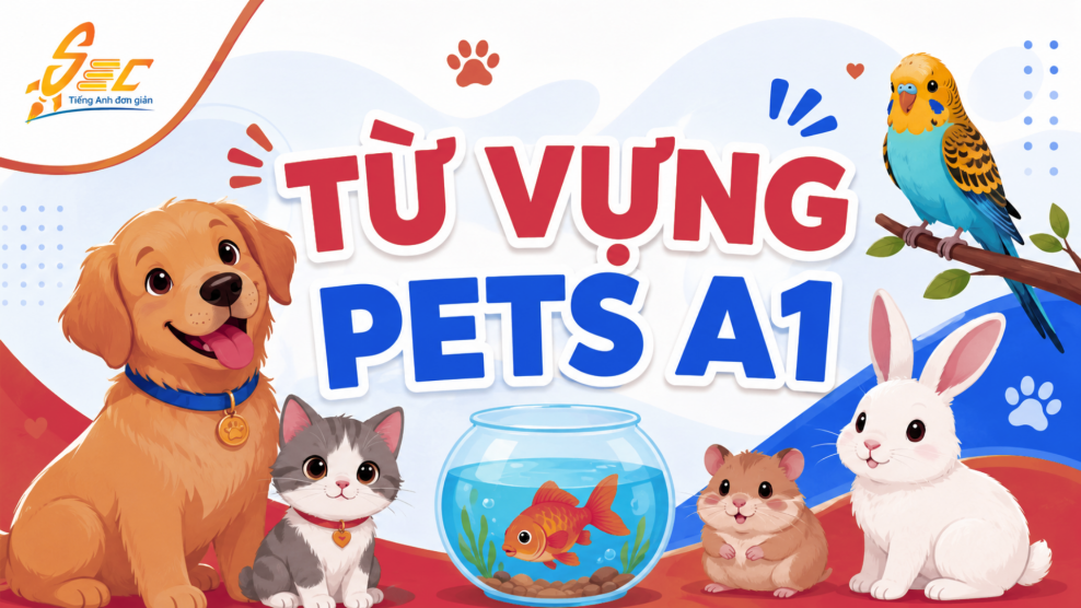 Từ vựng Pets A1: Học tiếng Anh về thú cưng dễ nhớ, dễ dùng Từ vựng Pets A1: Học tiếng Anh về thú cưng dễ nhớ, dễ dùng