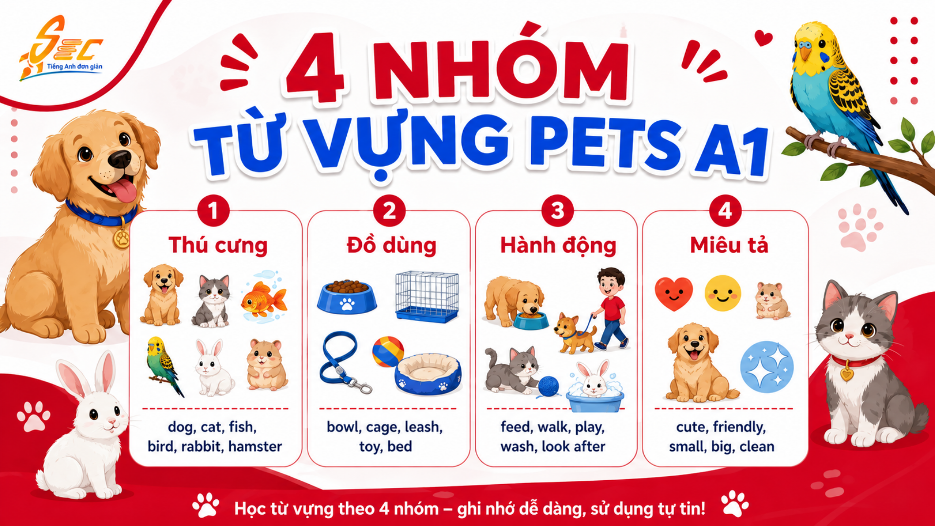 Từ vựng Pets A1: Học tiếng Anh về thú cưng dễ nhớ, dễ dùng Các nhóm từ vựng quan trọng trong chủ đề Pets