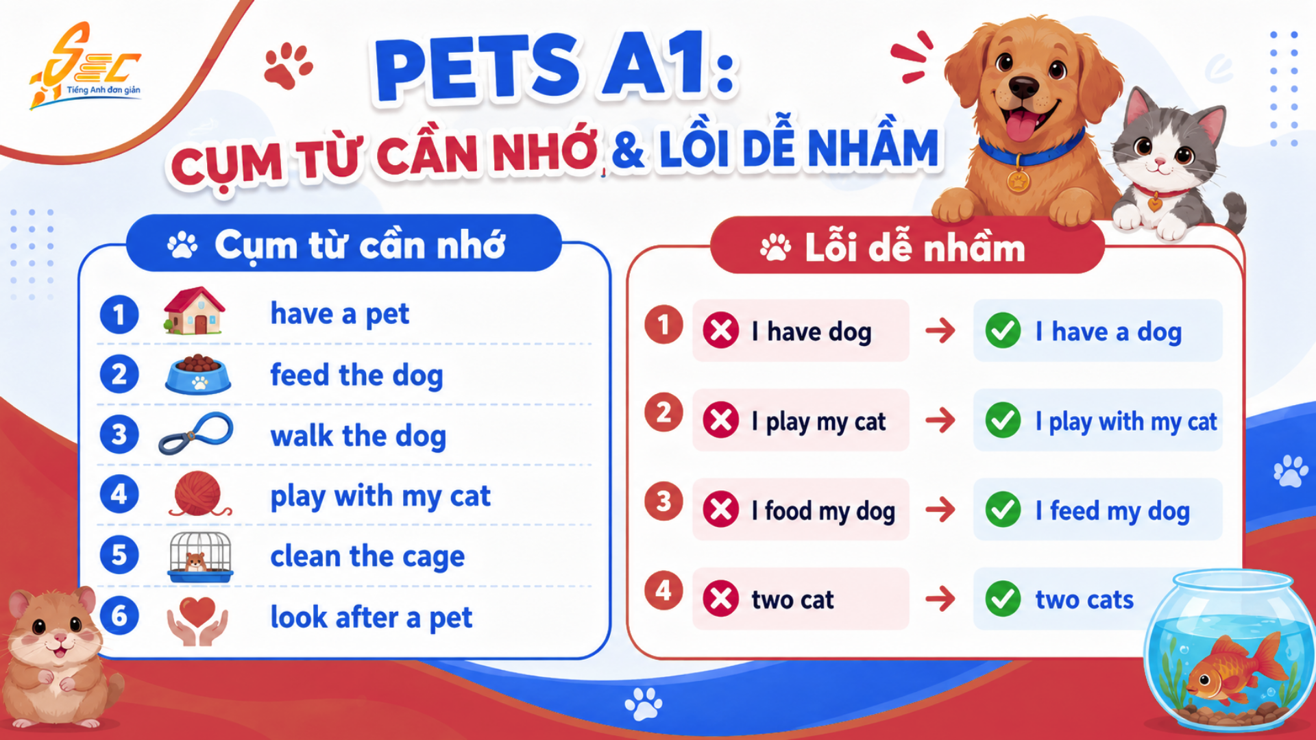 Từ vựng Pets A1: Học tiếng Anh về thú cưng dễ nhớ, dễ dùng 12 6